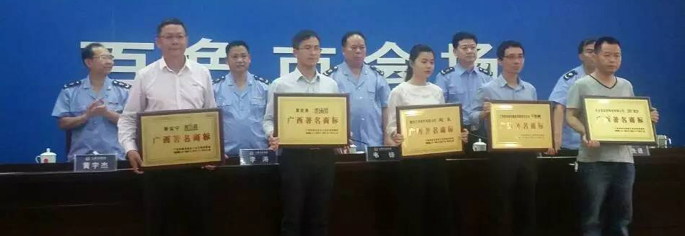 熱(rè)烈祝賀雙迎門(mén)業(yè)連續9年(nián)榮獲“廣西(xī)著名商标”榮譽稱号