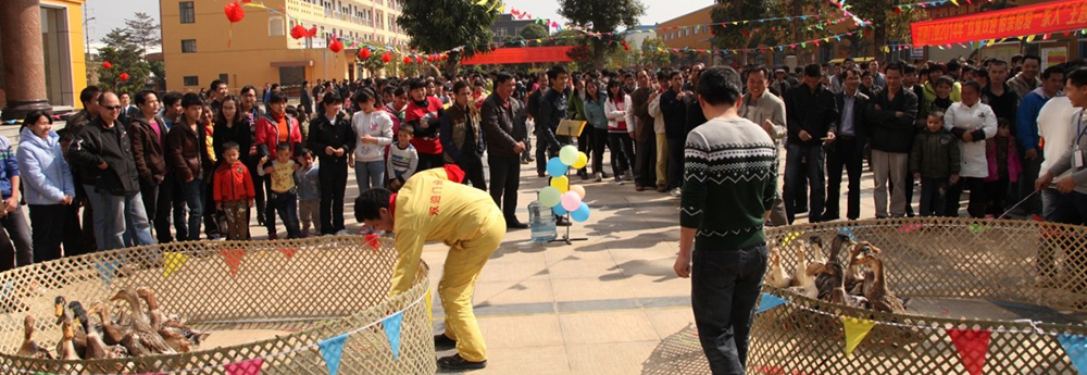 雙迎門(mén)業(yè)隆重舉行(xíng)迎新春遊園活動及年(nián)夜飯活動